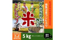 【令和７年産】特別栽培米　がんこおやじが作った南魚沼産コシヒカリ 白米5kg