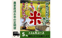 【令和７年産】３か月定期便　がんこおやじが作った南魚沼産コシヒカリ白米5kg