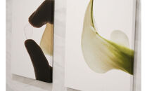 ブラックフィルム施術券(6本)