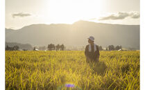 【令和7年産】南魚沼塩沢産コシヒカリ＜yusui＞10kg白米