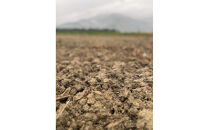 【令和7年産】南魚沼塩沢産コシヒカリ＜yusui＞10kg白米