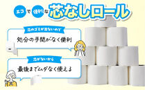 トイレットペーパー水玉ロングエコノミー150ｍ&nbsp;24ロール&nbsp;|&nbsp;トイレットペーパー&nbsp;シングル&nbsp;3倍巻&nbsp;3倍&nbsp;無香料&nbsp;個包装&nbsp;といれっとぺーぱー&nbsp;日用品&nbsp;消耗品&nbsp;生活用品&nbsp;トイレ用品&nbsp;雑貨&nbsp;防災&nbsp;備蓄&nbsp;人気&nbsp;おすすめ&nbsp;トイレットペーパー&nbsp;送料無料&nbsp;福岡市