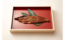 〈堀忠〉浜名湖産　天然鰻　2尾〈高島屋選定品〉