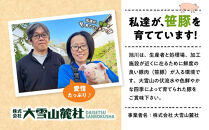 【2026年2月発送】【旭川産ブランド豚】希少部位！笹豚バラ1.8kg(300g×6パック) 【 豚肉 お肉 豚バラ 豚バラ肉 しゃぶしゃぶ 鍋 お鍋 焼肉 焼き肉 やきにく 小分け 個包装 冷凍 国産 北海道 ギフト スライス お取り寄せ グルメ 旭川市 北海道 】_04811