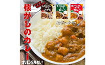 ☆オリエンタルなつかしのカレー＆ハヤシセット（3種類9個+オリジナルスプーン付）