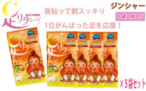 足リラシート&nbsp;1袋（2枚入り）×5袋セット&nbsp;【ジンジャー】&nbsp;竹樹液&nbsp;天然樹液シート&nbsp;フットケア&nbsp;樹の恵本舗