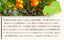 濃い旬搾りみかん700ml&nbsp;6本入り