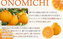 濃い旬搾りしらぬい&nbsp;700ml&nbsp;6本入り