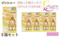 足リラシート&nbsp;1箱（30枚入り）×5箱セット&nbsp;【ジンジャー】&nbsp;竹樹液&nbsp;天然樹液シート&nbsp;フットケア&nbsp;樹の恵本舗