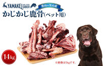 煮込んでスープ、かじって歯磨き鹿骨セット（鹿骨かじかじ14ｋｇ）