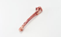 煮込んでスープ、かじって歯磨き鹿骨セット（鹿骨かじかじ14ｋｇ）