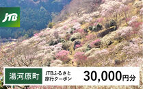 【湯河原町】JTBふるさと旅行クーポン（30,000円分）有効期間3年（Eメール発行）｜旅行 トラベル 予約 国内旅行 JTB 宿泊 観光 体験 旅行券 宿泊券 旅行予約 温泉 ホテル 旅館 チケット 子供 子連れ カップル 家族 人気 おすすめ 旅行クーポン 店頭 オンライン ネット予約 電話 有効期間3年