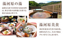 湯河原温泉ふるさと納税「宿泊ギフト券」&nbsp;3,000円分&nbsp;|&nbsp;湯河原町&nbsp;贅沢&nbsp;リフレッシュ&nbsp;旅行&nbsp;神奈川&nbsp;自然