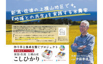 【3ヶ月定期便】新潟県佐渡産コシヒカリ　パックご飯180g×36個【産地・生産者限定米】
