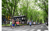 仙台国際ハーフマラソン2026&nbsp;出走権【令和8年5月10日（日）開催】