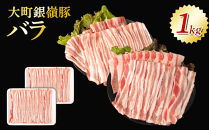 大町銀嶺豚&nbsp;バラ１kg&nbsp;(約500ｇ・2パック)｜豚肉&nbsp;銀嶺豚&nbsp;&nbsp;国産&nbsp;ブランド豚&nbsp;&nbsp;人気&nbsp;おすすめ&nbsp;&nbsp;グルメ&nbsp;ギフト&nbsp;送料無料&nbsp;長野県&nbsp;大町市&nbsp;ふるさと納税