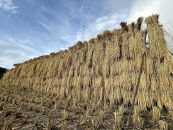 [令和7年産]はさがけJAS認定　有機栽培米　農薬・化学肥料不使用の米　南魚沼産こしひかり3kg&nbsp;&nbsp;八海山の里で実りました。