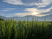 [令和7年産]はさがけJAS認定　有機栽培米　農薬・化学肥料不使用の米　南魚沼産こしひかり3kg&nbsp;&nbsp;八海山の里で実りました。