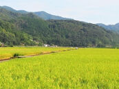 内子からり米　令和7年産ヒノヒカリ（精米10kg×1袋）【北海道・沖縄配送不可】【お米&nbsp;こめ&nbsp;食品&nbsp;人気&nbsp;おすすめ&nbsp;送料無料】