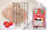 【2026年1月下旬より発送】梅干し&nbsp;ペースト&nbsp;練梅&nbsp;4パック&nbsp;限定200個