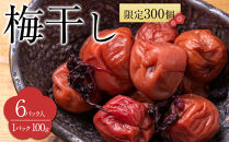 【2026年1月下旬より発送】梅干し&nbsp;100g&nbsp;6パック入り&nbsp;限定300個