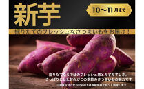 【お得な訳あり！】　さつまいも　紅はるか5kg