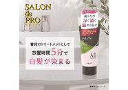 ダリヤ　サロン　ド　プロ　カラーシャンプー＆トリートメント＜アッシュブラウン＞各3個セット