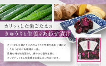 志そ漬きゅうり1袋&nbsp;LLP｜京都&nbsp;老舗&nbsp;土井&nbsp;有名店&nbsp;しそ漬&nbsp;漬物&nbsp;人気セット［&nbsp;京都&nbsp;大原&nbsp;土井志ば漬本舗&nbsp;しそ漬&nbsp;きゅうり&nbsp;お土産&nbsp;贈答&nbsp;人気&nbsp;おすすめ&nbsp;野菜&nbsp;漬物&nbsp;つけもの&nbsp;ギフト&nbsp;プレゼント&nbsp;お取り寄せ&nbsp;通販&nbsp;送料無料&nbsp;ふるさと納税&nbsp;］