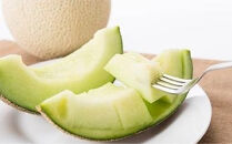 ★2026年夏発送★ 岸田農園産 青肉メロン 1玉入り(サイズ:1.8kg以上)【 果物 メロン フルーツ 北海道 上川町 岸田農園 甘いジューシー 季節限定 甘みたっぷり メロンギフト 産地直送 くだもの 】