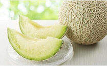 ★2026年夏発送★ 岸田農園産 青肉メロン 1玉入り(サイズ:1.8kg以上)【 果物 メロン フルーツ 北海道 上川町 岸田農園 甘いジューシー 季節限定 甘みたっぷり メロンギフト 産地直送 くだもの 】