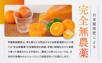 有機みかんジュース&nbsp;果汁100%　1000ml×6本&nbsp;|&nbsp;湯河原町&nbsp;有機農園&nbsp;自然の甘さ&nbsp;手作りジュース&nbsp;青島みかん&nbsp;ビタミン