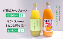 有機みかん果汁100%ジュース+キウィフルーツ果汁80%&nbsp;|&nbsp;湯河原町&nbsp;有機農園&nbsp;手作り&nbsp;みかん&nbsp;キウイ&nbsp;ジュース