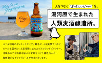 湯河原温泉のクラフトビール【ヒューマンズビア】おまかせ6本セット&nbsp;|&nbsp;湯河原町&nbsp;湯河原温泉&nbsp;クラフトビール&nbsp;おまかせセット&nbsp;醸造所