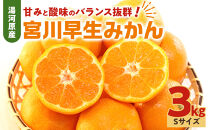 甘みと酸味のバランス抜群・宮川早生みかん　3kg(Sサイズ)&nbsp;　2026年11月中旬～下旬頃に発送予定|&nbsp;湯河原町&nbsp;Sサイズ&nbsp;3kg&nbsp;ジューシー&nbsp;柑橘類&nbsp;食べ頃&nbsp;宮川早生みかん
