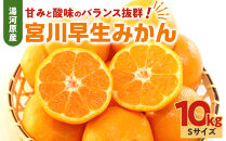 甘みと酸味のバランス抜群・宮川早生みかん　10kg(Sサイズ)　2026年11月中旬～下旬頃に発送予定&nbsp;|&nbsp;湯河原町&nbsp;Sサイズ&nbsp;10kg&nbsp;柑橘類&nbsp;フルーツ&nbsp;宮川早生みかん&nbsp;旬