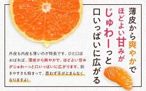 甘みと酸味のバランス抜群・宮川早生みかん　10kg(Mサイズ)&nbsp;　2026年11月中旬～下旬頃に発送予定|&nbsp;湯河原町&nbsp;Mサイズ&nbsp;10kg&nbsp;宮川早生みかん&nbsp;果汁たっぷり&nbsp;旬の果物