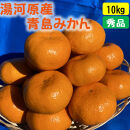 年末年始にも楽しめる　早出し　青島みかん　10kg　2025年12月21日頃～年内に発送