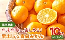 年末年始にも楽しめる　早出し　青島みかん　10kg&nbsp;　2025年12月21日頃～年内に発送&nbsp;|&nbsp;湯河原町&nbsp;青島みかん&nbsp;10kg&nbsp;フルーツ&nbsp;蔵出し貯蔵&nbsp;濃厚