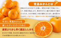 年末年始にも楽しめる　早出し　青島みかん　10kg&nbsp;　2025年12月21日頃～年内に発送&nbsp;|&nbsp;湯河原町&nbsp;青島みかん&nbsp;10kg&nbsp;フルーツ&nbsp;蔵出し貯蔵&nbsp;濃厚
