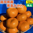 年末年始にも楽しめる　早出し　青島みかん　5kg　　2025年12月21日頃～年内に発送