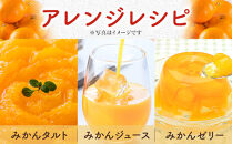 年末年始にも楽しめる　早出し　青島みかん　5kg　　2025年12月21日頃～年内に発送&nbsp;|&nbsp;湯河原町&nbsp;青島みかん&nbsp;5kg&nbsp;フルーツ&nbsp;蔵出し貯蔵&nbsp;濃厚