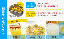 【希少フルーツ】もぎたて・湘南ゴールド(大玉)3kg　2026年1月中旬～下旬頃発送予定&nbsp;|&nbsp;湯河原町&nbsp;大玉&nbsp;3kg&nbsp;種なし&nbsp;柑橘系&nbsp;ハウス栽培&nbsp;地域特産品