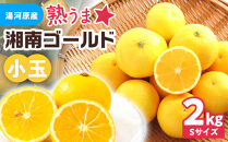 【希少フルーツ】熟ウマ☆小玉・湘南ゴールド(Sサイズ)　2kg　2026年3月上旬～3月中旬頃発送予定&nbsp;|&nbsp;湯河原町&nbsp;小玉&nbsp;Sサイズ&nbsp;2kg&nbsp;種なし&nbsp;柑橘類&nbsp;地域特産品