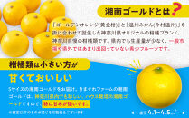 【希少フルーツ】熟ウマ☆小玉・湘南ゴールド(Sサイズ)　2kg　2026年3月上旬～3月中旬頃発送予定&nbsp;|&nbsp;湯河原町&nbsp;小玉&nbsp;Sサイズ&nbsp;2kg&nbsp;種なし&nbsp;柑橘類&nbsp;地域特産品