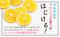 【希少フルーツ】熟ウマ☆小玉・湘南ゴールド(Sサイズ)　3kg　2026年3月上旬～3月中旬頃発送予定&nbsp;|&nbsp;湯河原町&nbsp;小玉&nbsp;Sサイズ&nbsp;3kg&nbsp;種なし&nbsp;柑橘類&nbsp;地域特産品