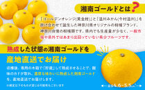 【希少フルーツ】熟成・湘南ゴールド(L・Mサイズ)3kg　2026年3月上旬～3月中旬頃発送予定&nbsp;|&nbsp;湯河原町&nbsp;&nbsp;中玉&nbsp;Lサイズ&nbsp;Mサイズ&nbsp;3kg&nbsp;熟成&nbsp;濃厚&nbsp;地域特産品&nbsp;柑橘類