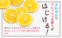【希少フルーツ】超熟☆芳醇・湘南ゴールド(L・2Lサイズ)3kg　2026年3月下旬頃～発送予定&nbsp;|&nbsp;湯河原町&nbsp;中玉&nbsp;Lサイズ&nbsp;2Lサイズ&nbsp;3kg&nbsp;長期熟成&nbsp;種なし&nbsp;地域特産品