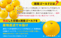 【希少フルーツ】超熟☆芳醇・湘南ゴールド(L・2Lサイズ)5kg　2026年3月下旬頃～発送予定&nbsp;|&nbsp;湯河原町&nbsp;中玉&nbsp;Lサイズ&nbsp;2Lサイズ&nbsp;5kg&nbsp;長期熟成&nbsp;種なし&nbsp;地域特産品