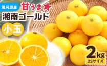 【希少フルーツ】甘ウマ☆小玉・湘南ゴールド(2Sサイズ)　2kg　2026年2月下旬～3月中旬頃発送予定&nbsp;|&nbsp;湯河原町&nbsp;小玉&nbsp;2Sサイズ&nbsp;2kg&nbsp;種なし&nbsp;柑橘類&nbsp;地域特産品