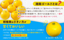【希少フルーツ】甘ウマ☆小玉・湘南ゴールド(2Sサイズ)　2kg　2026年2月下旬～3月中旬頃発送予定&nbsp;|&nbsp;湯河原町&nbsp;小玉&nbsp;2Sサイズ&nbsp;2kg&nbsp;種なし&nbsp;柑橘類&nbsp;地域特産品
